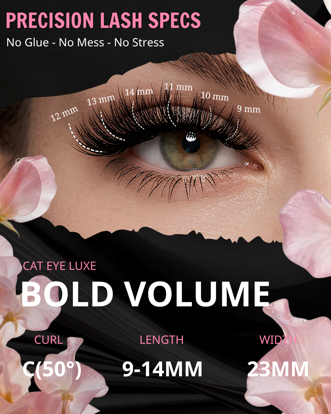 Bold Volume